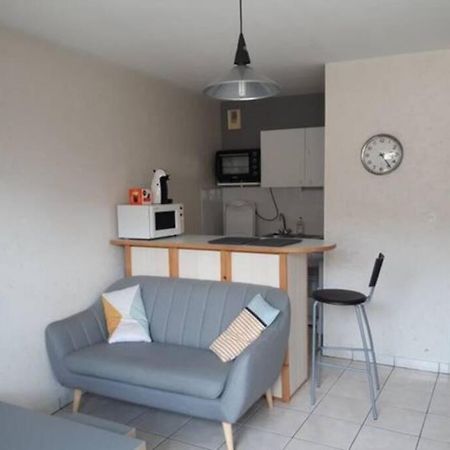 Ferienwohnung T1 Bis- Hypercentre - Parking Gratuit Toulouse Exterior foto